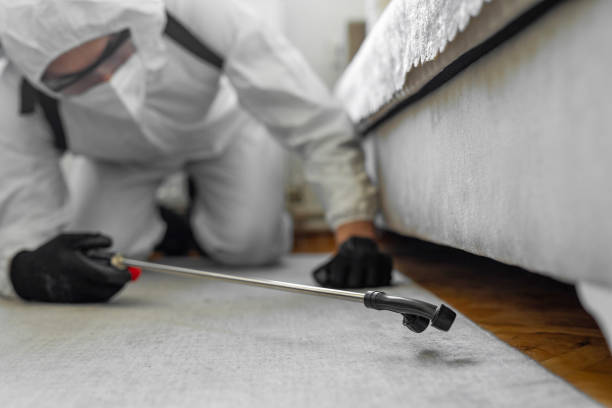 Professional Bed Bug Control technician working in Warren County County, IN